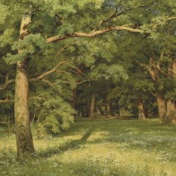 The Forest Clearing